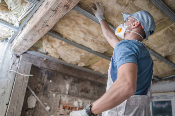 Best Wall Insulation Contractor  in Chatham, VA