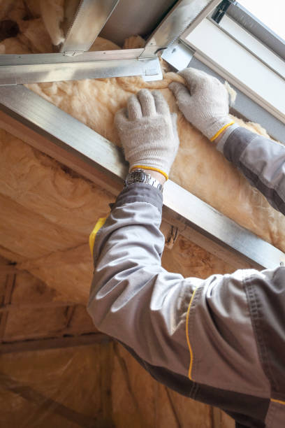 Best Home Insulation Services  in Chatham, VA