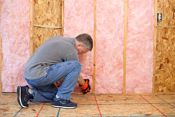 Best Insulation Contractors for Homes  in Chatham, VA